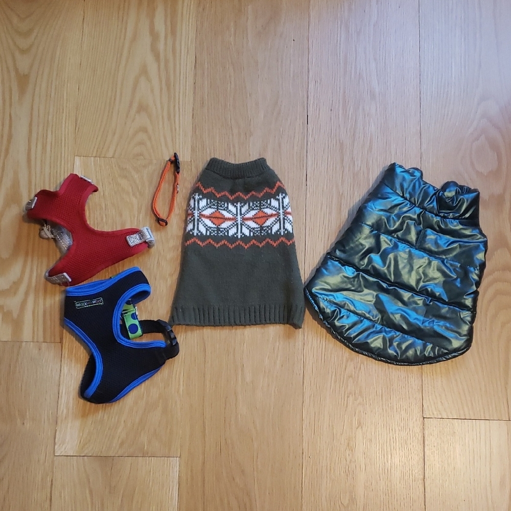 Set of Dog Sweaters and Harnesses